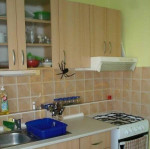 zariadený 1-izb., Kašmírska, 3/3 p., TEHLA, Trnávka – fotka 2