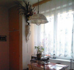 1-izbový byt Národná trieda, 38 m2, 2. p – fotka 2