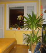 zariadený 1-izb., Karloveská, 2 p/7, lodžia 7 m2 – fotka 3